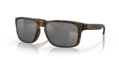 Holbrook - Matte Brown Tortoise / Prizm Black Iridium