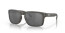 HOLBROOK WOODGRAIN PRIZM BLACK POLARIZED