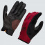 Oakley All Conditions Glove