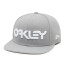 Oakley Mark II Novelty Snap Back - Stone Gray - 911784-22Y Pet